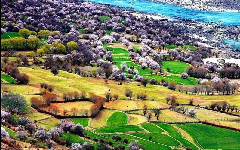 Top 9 Places to Visit in April in China