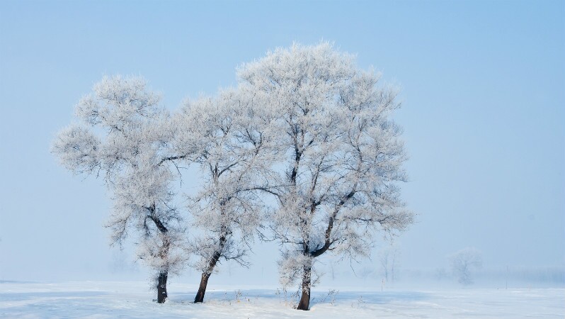 Jilin Rime