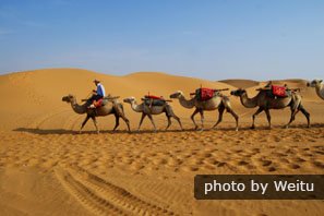 Silk Road