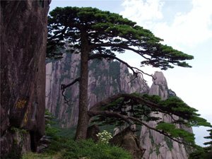 the yellow mountains