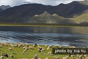 Yandrokyumtso Lake