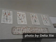 Oracle Bone Scripts