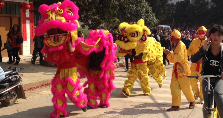 southern lion dance