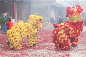 The spring festival