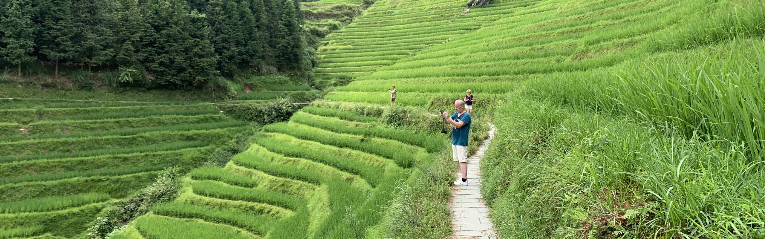 7-Day Longji Rice Terraces, Li River, and Yulong River Hiking Tour