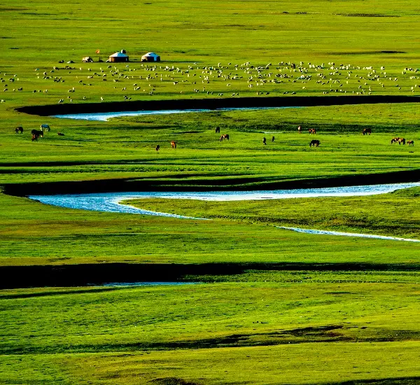 Inner Mongolia
