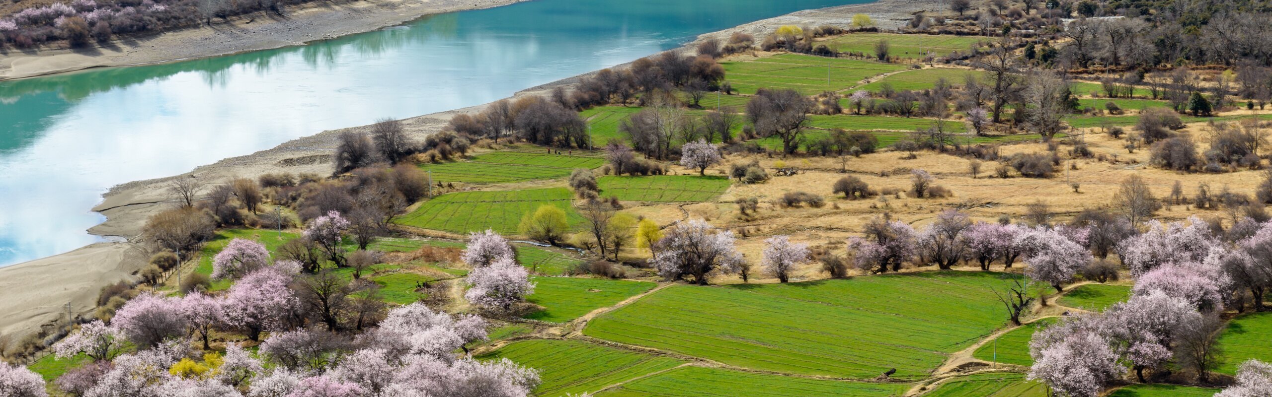  Tibet Weather in March 