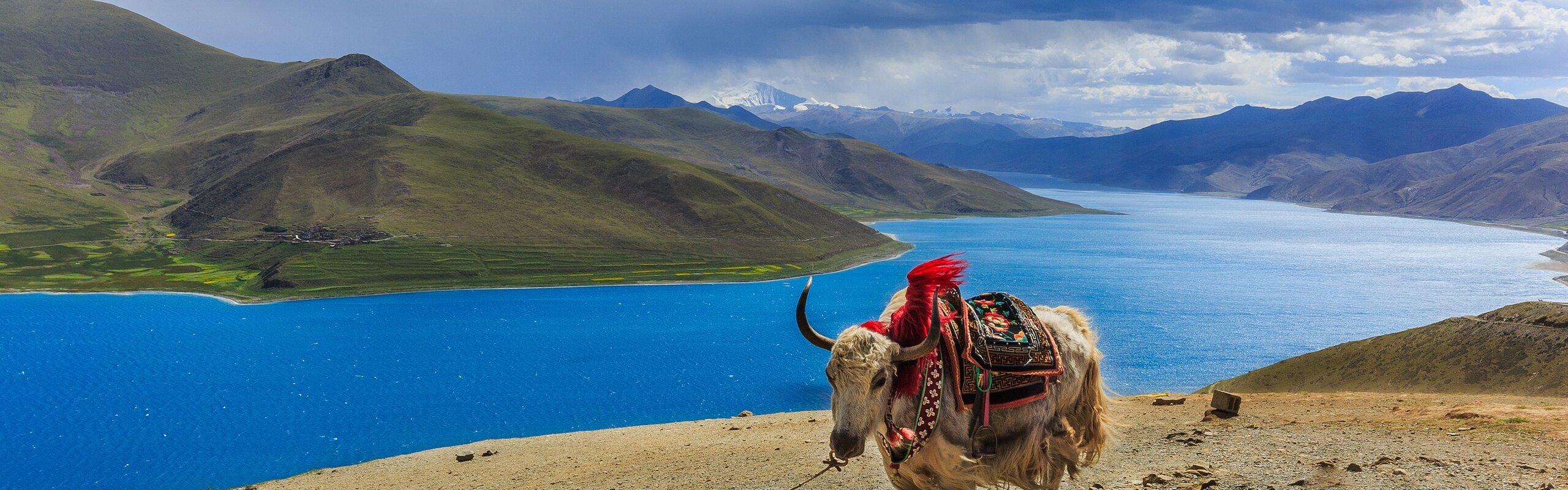 Tibet Travel Permit Guide 2025: Who Needs It & How to Apply