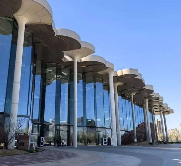 beijing city library