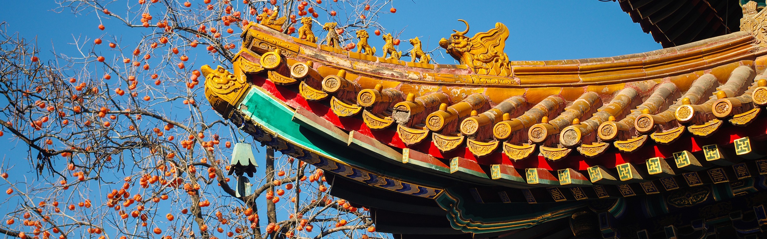 Beijing Spotlight Experiences