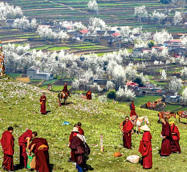 4-Day Western Sichuan Tibetan Spring Tour from Chengdu