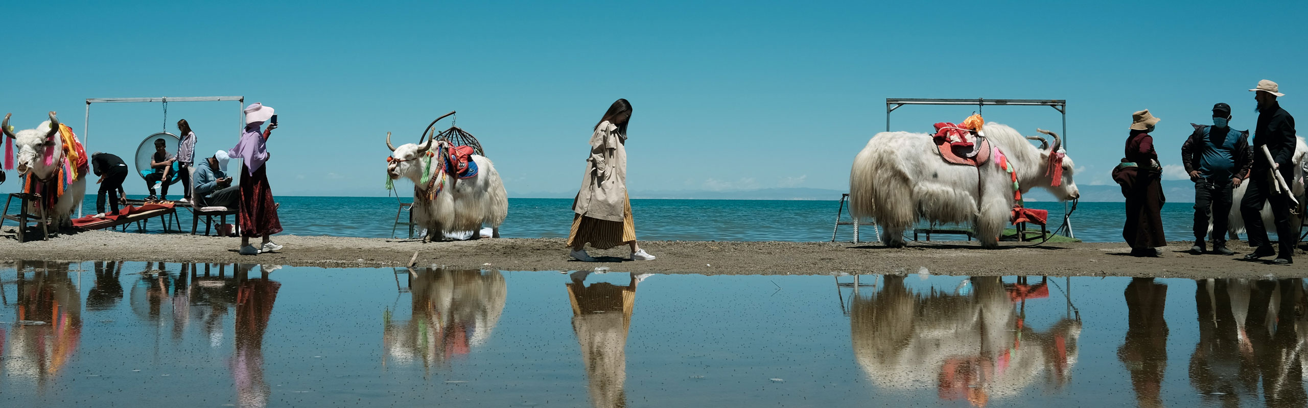 Qinghai Lake Group Biking Tour
