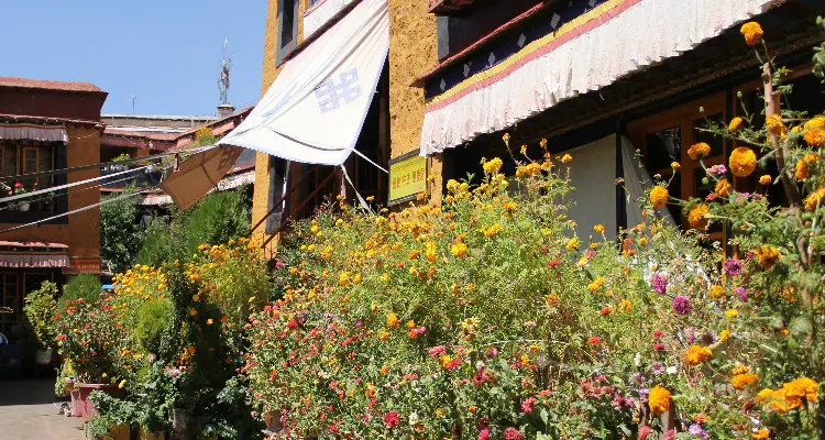 Flowers in a nunnery