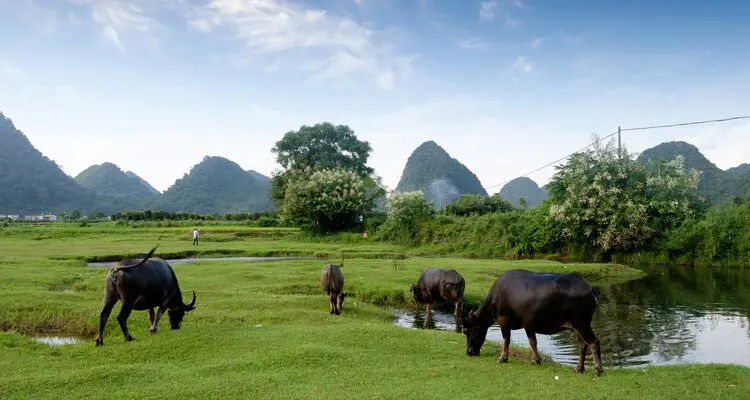 Yangshuo