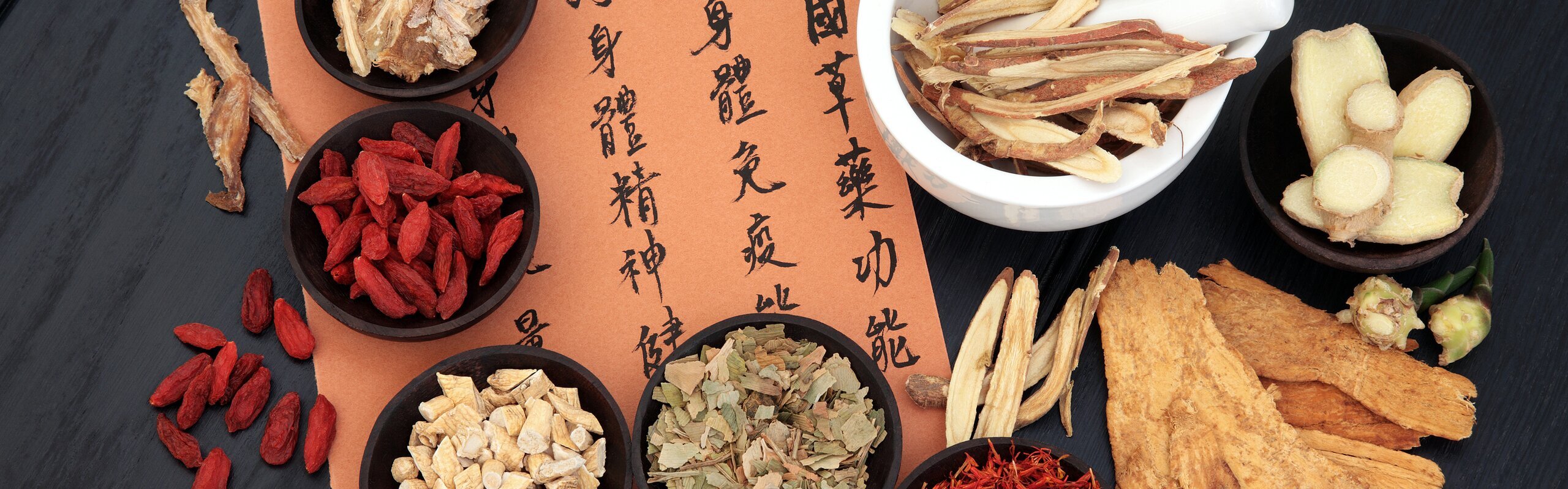 Li Shizhen, Father of Traditional Chinese Medicine