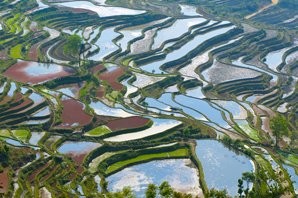 Yuanyang Rice Terraces