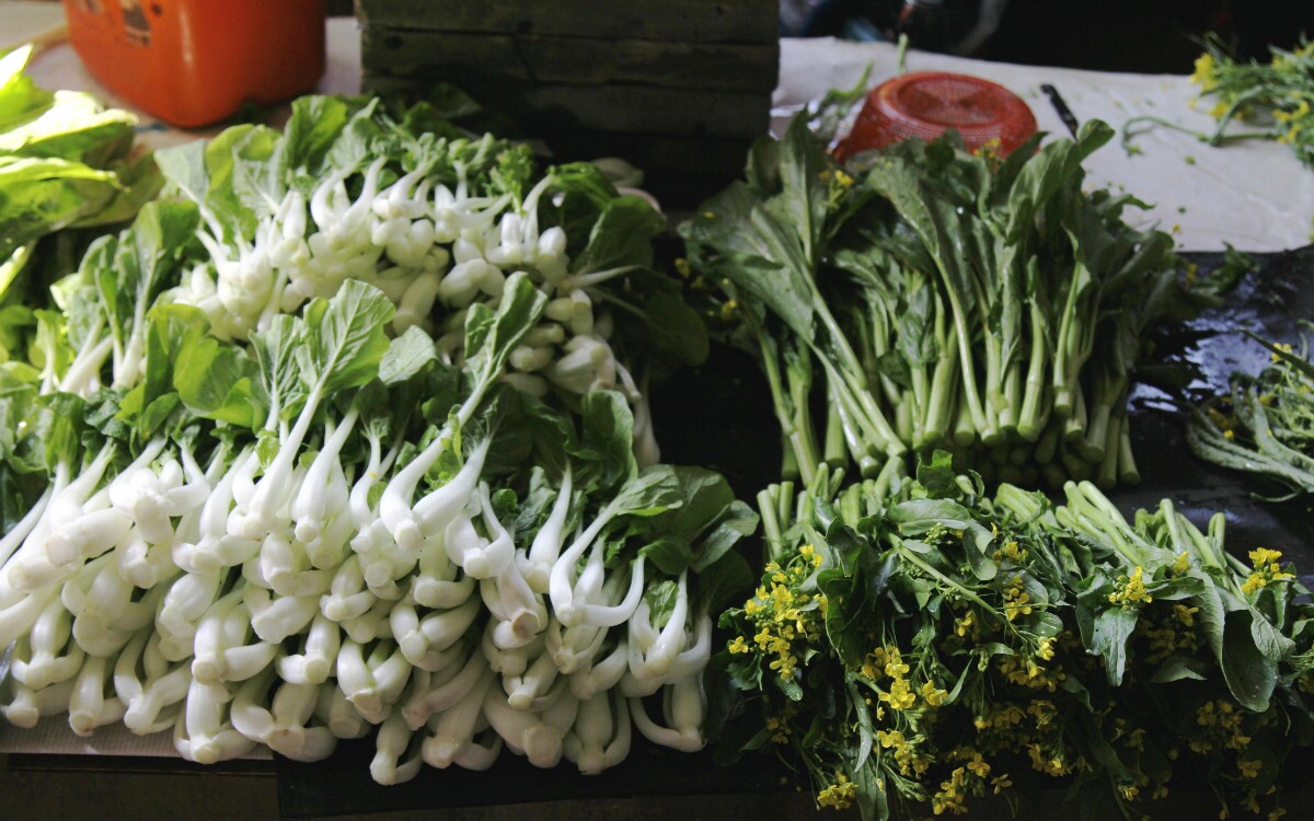 Bok Choy