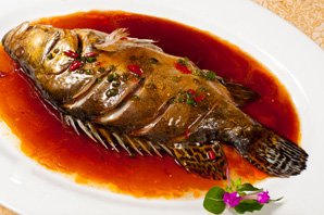 Fish
