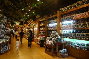 Shop