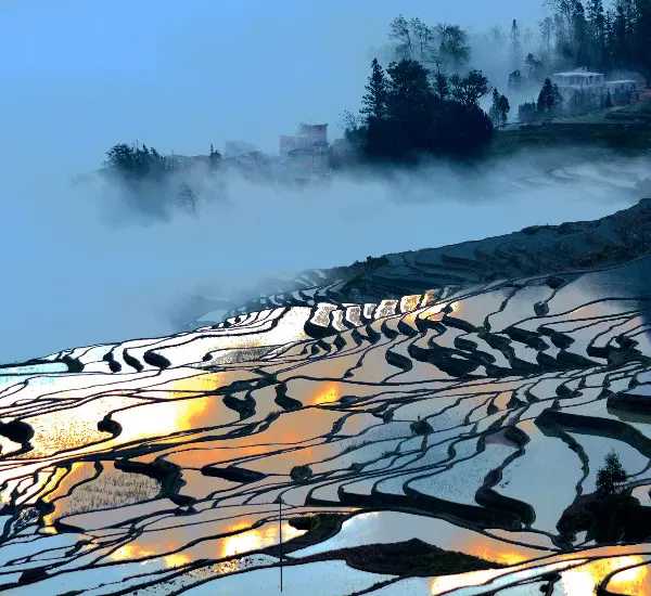 Yuanyang terraced fields