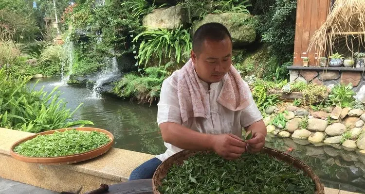 Chinese tea culture
