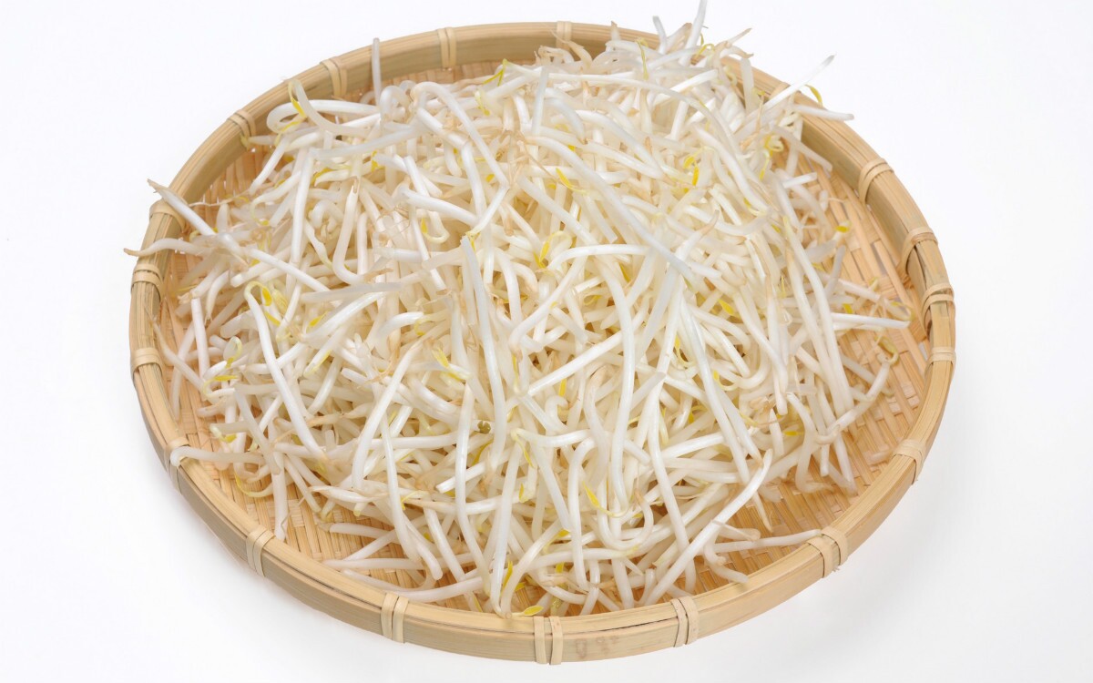 Soybean Sprouts