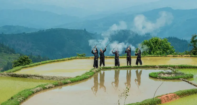 Rice Terraces