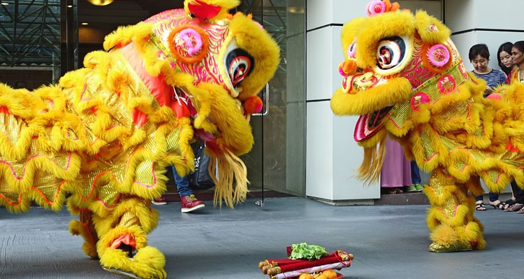Lion dance for lunar new year