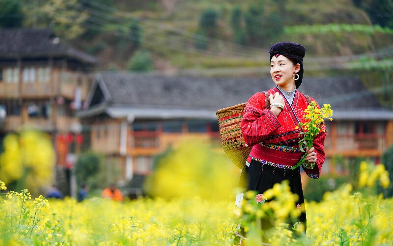zhangjiajie landscapes