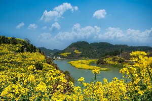 Xin'an River Hiking, Huangshan