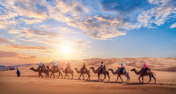 Riding a Camel
