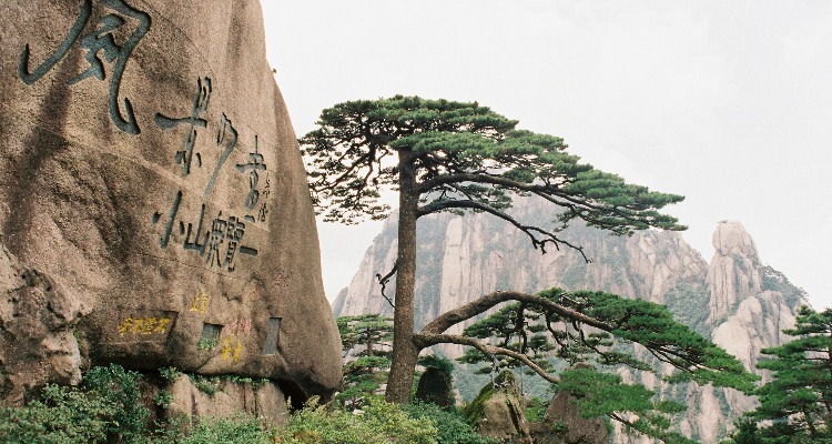 Yellow Mountains