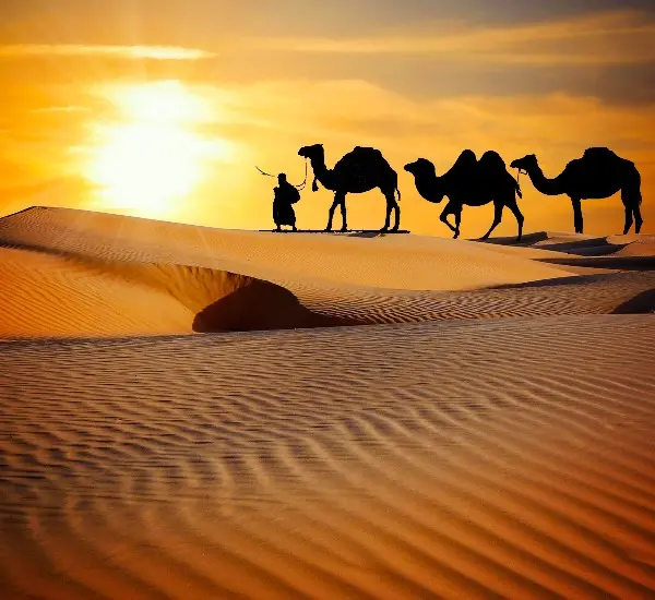 China Silk Road and Zhangjiajie Tour