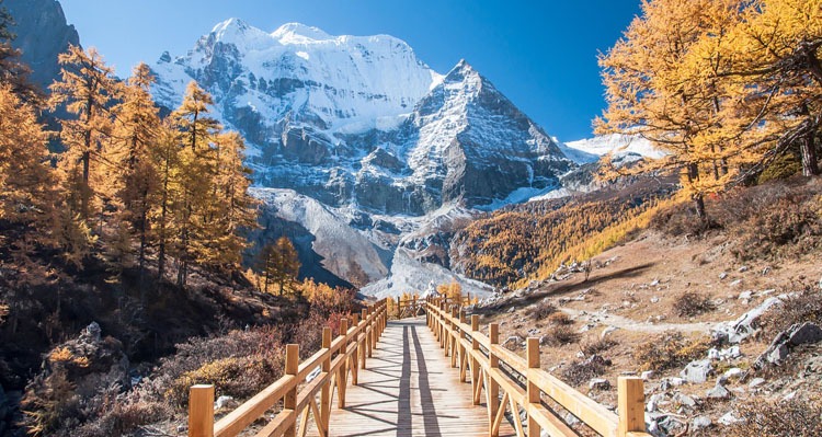 Daocheng