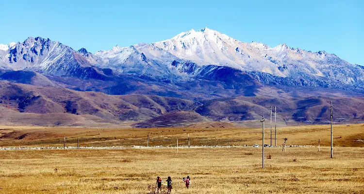 grassland and mountains