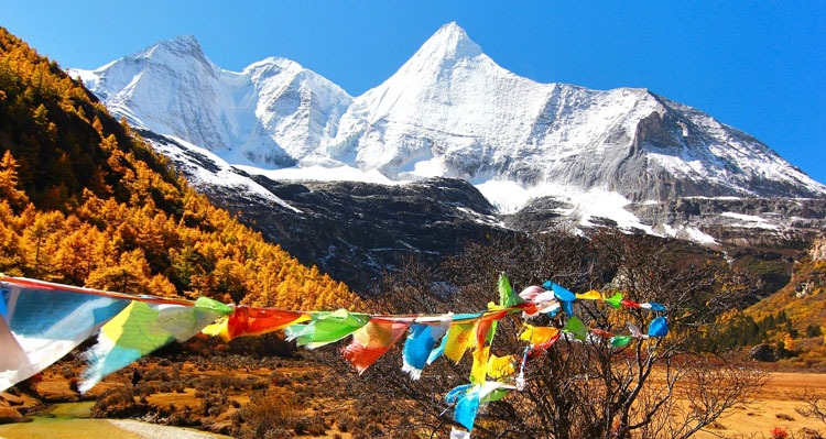 Daocheng
