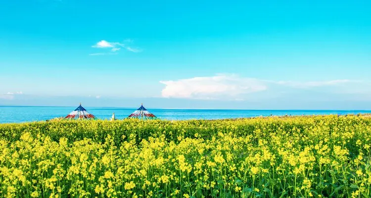 Qinghai Lake Boat