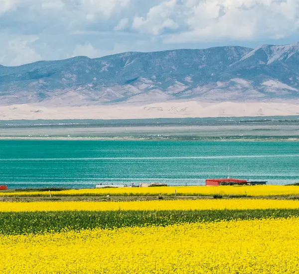 Miraculous Qinghai and Legendary Silk Road Tour