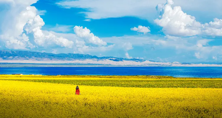 Miraculous Qinghai Lake