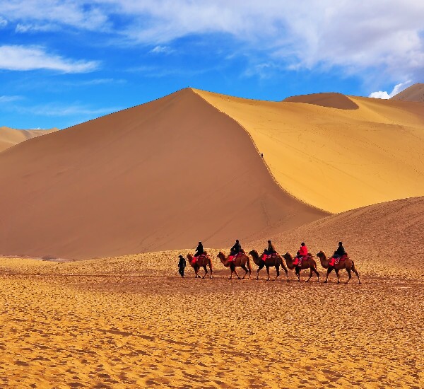 Silk Road Tours