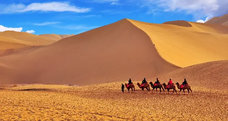 camel ride