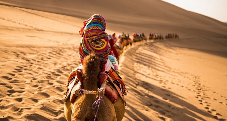 Ningxia desert
