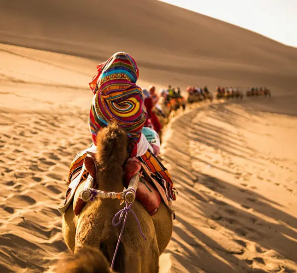 Camel Riding in Desert