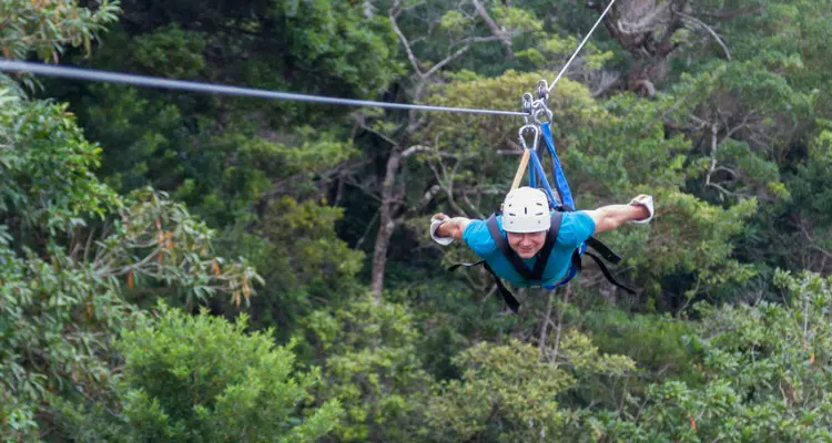 zipline in a forest