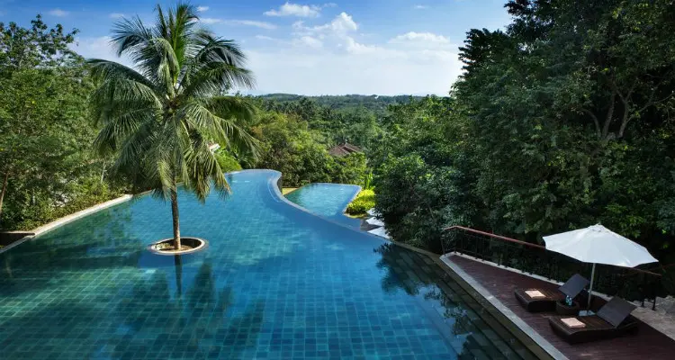 swimming pool in the forest