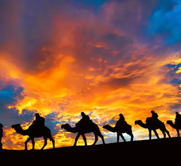 Hometown of Confucius and Silk Road Tour