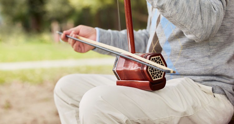 Erhu