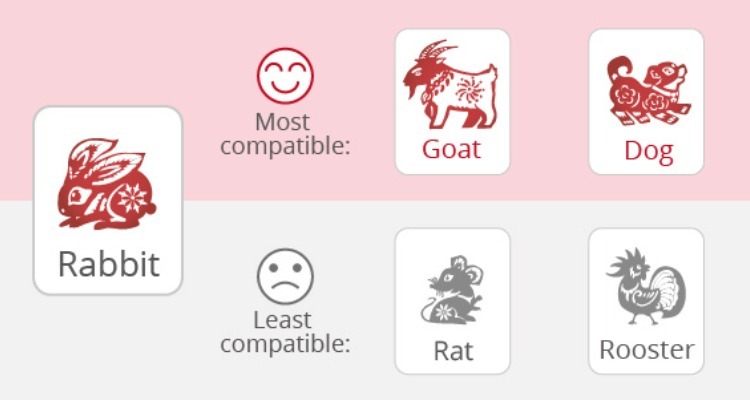 Rabbits' Love Compatibility