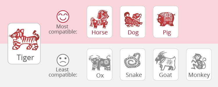The Tiger's Love Compatibility