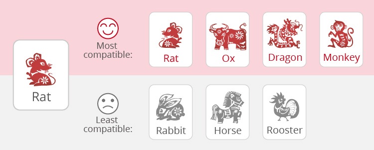 The Rat's Love Compatibility